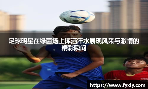 足球明星在绿茵场上挥洒汗水展现风采与激情的精彩瞬间