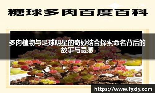 万博(max·中国)体育官方网站