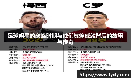 万博(max·中国)体育官方网站